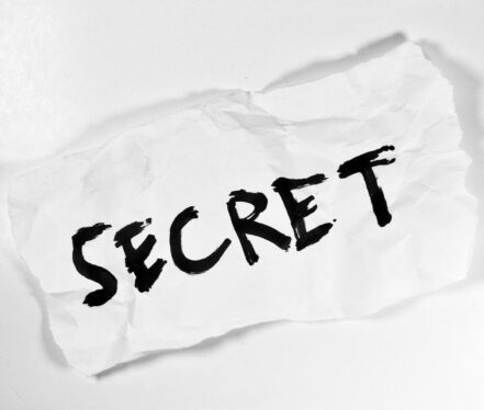 secret-1142327_1280